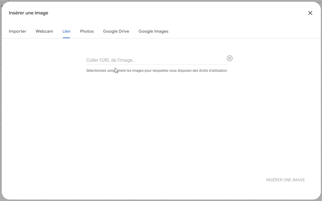 Démonstration d'importation d'une image via une URL dans Google Sheets.